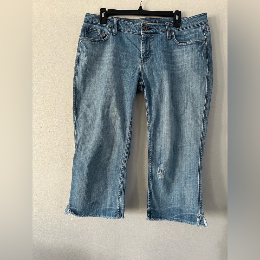American Eagle Outfitters Light Blue Cropped Jeans
